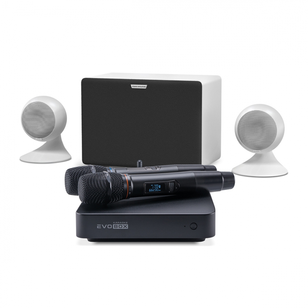 караоке-комплект EVOBOX Classic + EvoSound Sphere 2.1 в Электростали