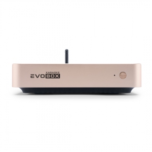 EVOBOX Plus караоке-система для дома в Электростали